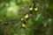 Beautiful group of new born butterfly.