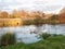 Beautiful group of swans and cyngets swimming down river Dedham