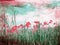 Beautiful grungy background with poppies