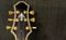Beautiful guitar head with golden rotary knobs and decorative inlay isolated on a music amplifier background