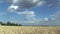 Beautiful Hana Landscape Of Countryside, fields with barley Hordeum vulgare bio gold ear, clouds and blue sky