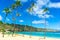 Beautiful Hanauma Bay in Oahu, Hawaii, With Coconut Palm Trees and White Sandy Beach