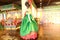 Beautiful Hanbok, The traditional korean dress