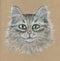 A beautiful hand-drawn portrait of a cute light fluffy cat that looks straight. Drawn with pastels on craft paper