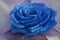 Beautiful hand made silk flower. Vintage retro style decoration. Fashionable female corsage brooch and barrette. Classic Blue