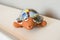 Beautiful hand made turtle miniature artpiece made of terra cotta and painted glass