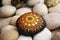 Beautiful hand painted mandala rock