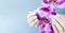 Beautiful hand with perfect nail pink manicure and purple orchid flower. on light blue background.