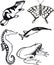 Beautiful handdrawn illustration of animals group in clear and white background.cdr