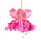 Beautiful hanging blooming in shades of red and lilac fuchsia fl