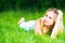 Beautiful happy dreamy woman in summer on nature lying on grass