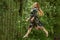 Beautiful happy woman jumps on trampoline outdoor at summer.