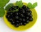 Beautiful and healthy blackcurrant with green leaves