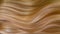 Beautiful healthy long smooth flowing blonde hair.