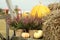 Beautiful heather flowers in pots, pumpkins and hay in wooden cart outdoors