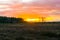 Beautiful heather landscape at sunset, sundown giving an amazing colorful effect in the sky and clouds