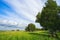 Beautiful heavenly landscape with trees and green meadow.