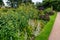 A beautiful herbaceous border in Scotland