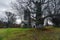 Beautiful Hermitage among ancient chestnut trees. Sanctuary of La Alcobilla located on an old Celtic temple. Zamora, Spain