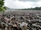 Beautiful Hickory Run Boulder Field on a rainy foggy day