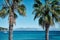 Beautiful high angle shot of two palms and the sea in Antibes town in France