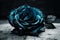 Beautiful high contrast indigo blue and black rose on a bright background. Generative AI