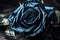 Beautiful high contrast indigo blue and black rose on a bright background. Generative AI