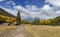 Beautiful High Mountain Meadow Near Flagstaff Arizona