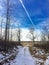 Beautiful hike through elk island national park in Alberta, Canada with a jet passing overhead