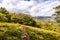 Beautiful hike through the Hochtaunus at the Feldberg on a beautiful late summer day