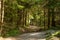 A beautiful hiking trail in Low Tatra region in Slovakia. Walking path in mountains and forest.