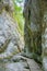 A beautiful hiking trail in Low Tatra region in Slovakia. Walking path in mountains and forest.