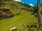 Beautiful hill with green grass and blue sky