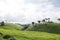 Beautiful hillocks with green tea plantation