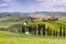 Beautiful hillscape with cypress road at Crete Senesi