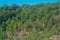 The beautiful hillside of Knott County Mountains in Leburn, Knott County, Kentucky