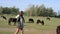 Beautiful hipster mixed race girl walking with herd of horses in countryside