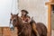 A Beautiful Hispanic Brunette Model Rides A Horse On A Mexican Farm