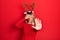 Beautiful hispanic woman wearing deer christmas hat and red nose covering eyes with hands and doing stop gesture with sad and fear