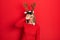 Beautiful hispanic woman wearing deer christmas hat and red nose peeking in shock covering face and eyes with hand, looking