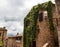 Beautiful historical building overgrown with vegetation