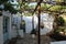 Beautiful home veranda with vintage garden furniture and an espalier covered with vines. South Africa.