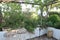 Beautiful home veranda with vintage garden furniture and an espalier covered with vines. South Africa.