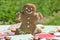 Beautiful homemade gingerbread cookie man