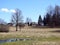 Beautiful homestead, trees and field, Lithuania