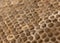 Beautiful honeycomb , background