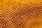 Beautiful honeycomb without honey texture