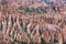 Beautiful Hoodoo Formations Wallpaper
