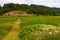 Beautiful horizon scenery in village meadow on color natural background, photography consisting of horizon scenery in