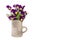 Beautiful Horned Violet viola Cornuta isolated